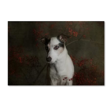 Trademark Fine Art
